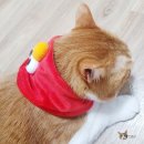 위고(WIGO) | 일본여행 오사카 쇼핑리스트 | 마루이백화점, 돈키호테 유니버셜스튜디오,GU, 다이키몰 면세점까지 다...