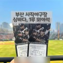932 | 롯데자이언츠 부산 사직야구장 심바다 컵물회, 1루외야석 932블럭 1열 19,20 후기