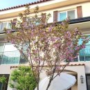 반송동164 이미지