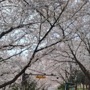 (주)행복을나누는사람들행복한동행 | 광주 북구 연제동 광주행복한복지센터 노인주간보호센터 <2025년 4월 첫째 주 프로그램>