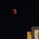 즐거운인생 | 2%부족하지만 즐거운 인생 일상 로그