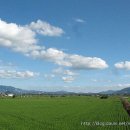 장흥 5리 이미지