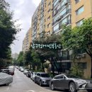 압구정-209 이미지