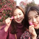 위미로와 이미지