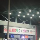 이박사동물병원 | 크리스마스 서울펫쇼 X 펫쇼아시아 초청, 방문 후기