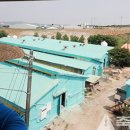 거니양돈 이미지