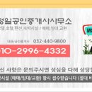 정일 여관 네이버블로그