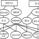 새집증후군과 목재접착제 이미지