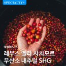 후픽 - 서초구 | [바소노트] 3월 동아리 모임후기 (개인후기)