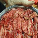 늘푸른찬 이미지