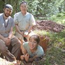 개미 농장 이미지