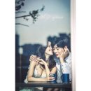 코발트스튜디오