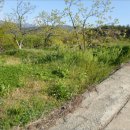 소천2리 경로당 이미지