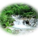 자연인촌 이미지