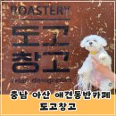 충남 아산 애견동반 베이커리카페 도고창고(실내동반가능)