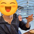 일월카츠