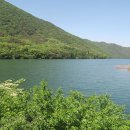 오동1교 이미지