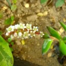 내 친구 겨울나기~* 이미지