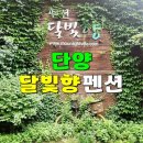 금남농협하나로마트고남점 | 충북여행 충주호 리버뷰 단양펜션 · 단양 달빛향 펜션