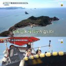 이놈세끼 스포츠서울
