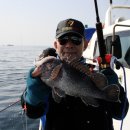 피쉬팩토리 이미지