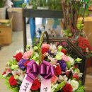 (주)해피나무 이미지