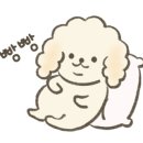 (주)진평 이미지