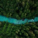 정진바이오 이미지