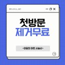 플라플라 이미지