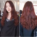 빨강머리앤헤어 이미지