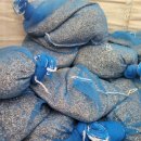 무지개해양수족관 이미지