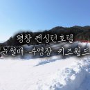 월드사우나 | 켄싱턴 평창 수영장·사우나 후기｜눈썰매장+키즈월드 무료 놀거리까지