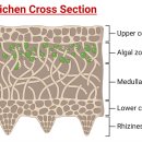 동화태양광발전소 이미지