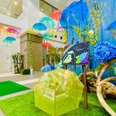 펫도그 애견스쿨 이미지