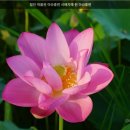 청동여래입상 | 함안 가볼 만한 곳 아라가야[함안 박물관] 경남 함안군