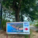 하나개해수욕장 -해변 앞 | 인천 취사 가능 캠핑장 서해 하나개해수욕장 후기