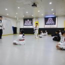 용인대 석사 타이거즈 태권도장 이미지