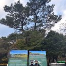 태신해안로 | [제주도여행]한라산 등반 성판악코스 후기