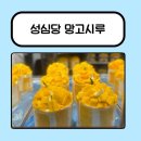 새벽기차 | 성심당 오픈런 | 대기부터 디저트까지 솔직 후기