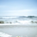 수박이네 이미지