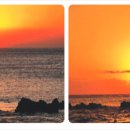 시인의섬 이미지