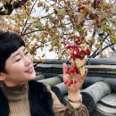 컬러커뮤니케이션즈 이미지