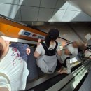 11545-12-21-01 | 🇳🇿 [뉴질랜드 한 달] 01. 시드니를 경유해서 뉴질랜드로 / 시드니 경유 여행 (비자 확인 !!)