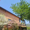 매천고등학교 이미지