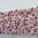 원더플레이키즈 용인점 이미지