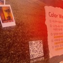 미니고래 | [고래현상소] 인스탁스 미니99 대여 후기 + Color Walk 사진전 참여기