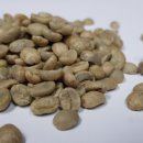 POP ROASTERS