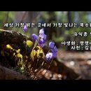 세상가장밝은 곳에서 가장 빛나는 목소리로 이미지