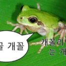 오늘우리집비어 - 계양구 | 오늘우리집비어