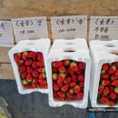 외딴농장 이미지